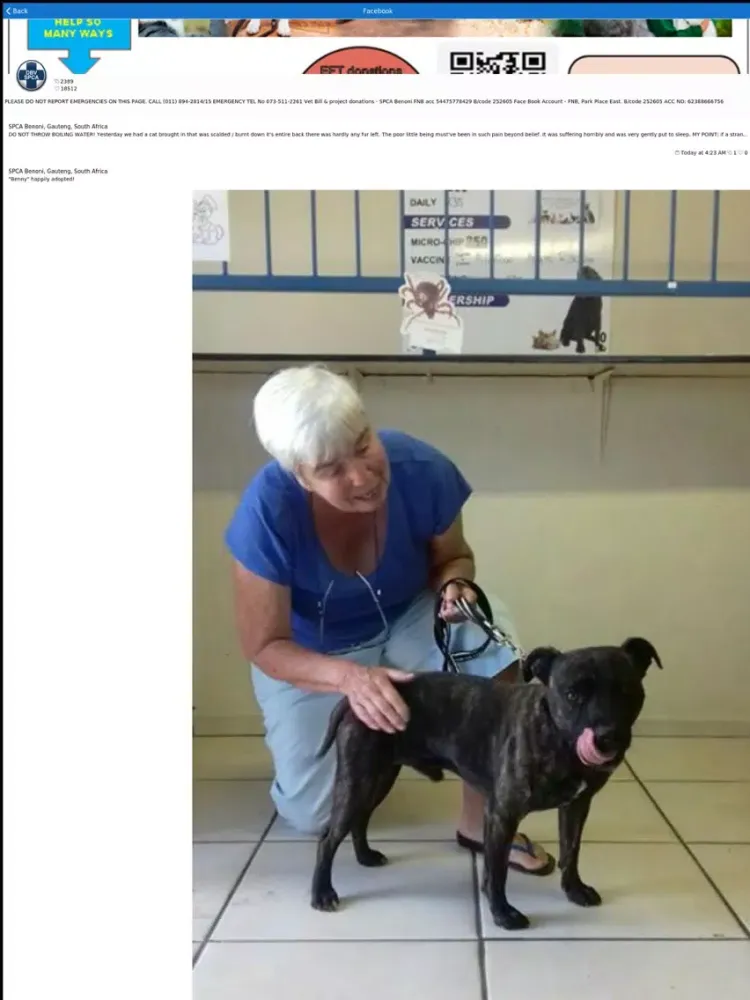 Tangkapan layar SPCA Benoni iPad 
