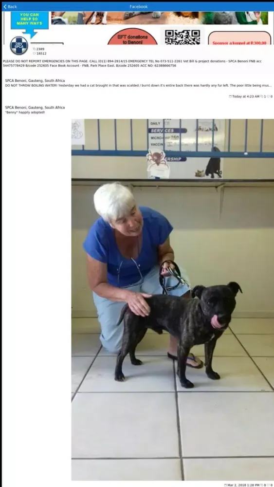 Tangkapan layar SPCA Benoni