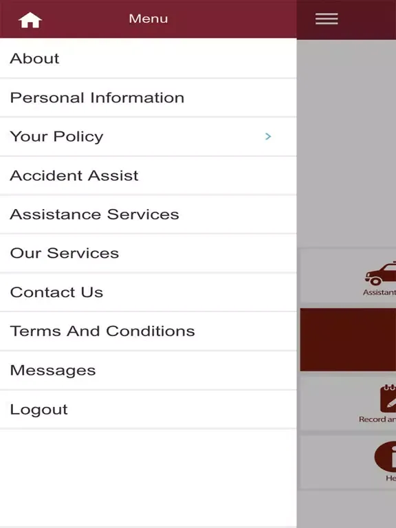 Ảnh chụp màn hình của Hibiscus Assist iPad 
