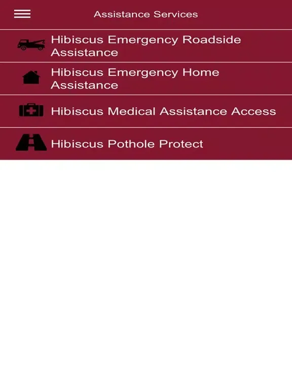 Ảnh chụp màn hình của Hibiscus Assist iPad 