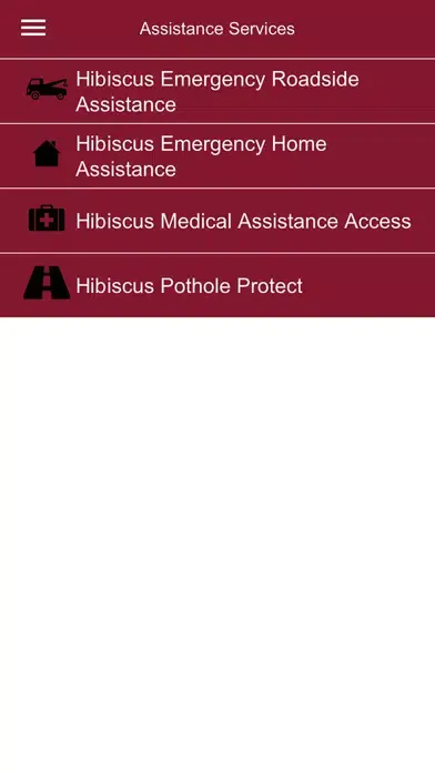 Ảnh chụp màn hình của Hibiscus Assist