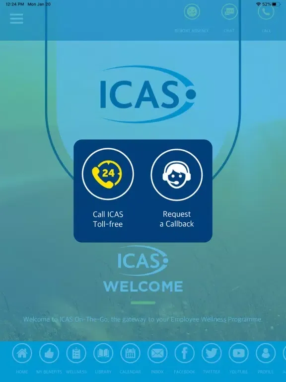 ICAS On the Go iPad  Screenshots