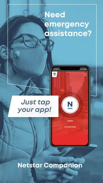 Tangkapan skrin Netstar Companion