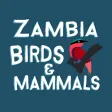 Zambia Bird & Mammal Checklist Zambia Bird & Mammal Checklist