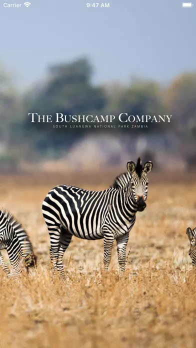 Capturas de tela do Zambia Bird & Mammal Checklist