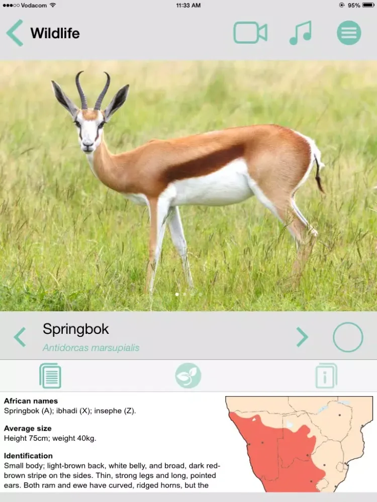 صور Sasol Wildlife for Beginners (Full): Quick facts, photos and videos of 46 southern African animals iPad 
