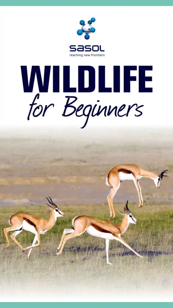 صور Sasol Wildlife for Beginners (Full): Quick facts, photos and videos of 46 southern African animals