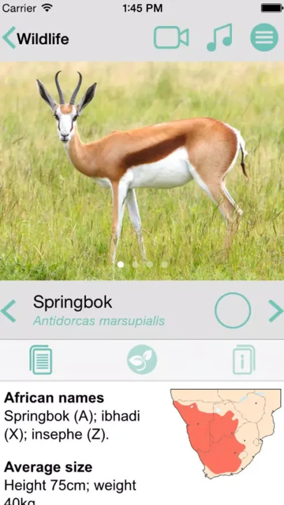 صور Sasol Wildlife for Beginners (Full): Quick facts, photos and videos of 46 southern African animals