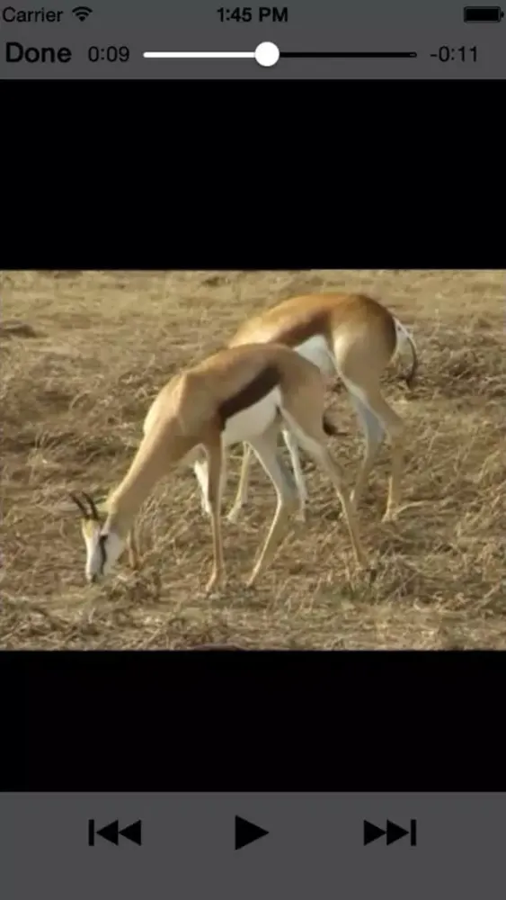 صور Sasol Wildlife for Beginners (Full): Quick facts, photos and videos of 46 southern African animals