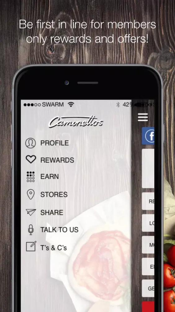 Скриншоты Caminettos
