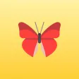 Butterfly: deep focus on one task using work timer