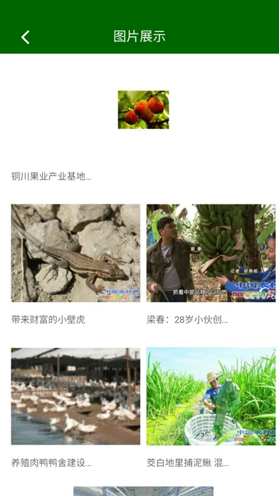 Capturas de tela do 中国农业行业网-手机客户端