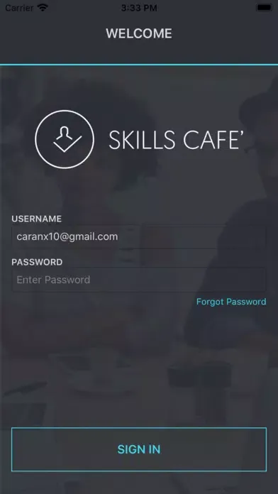 Скриншоты SkillsCafe