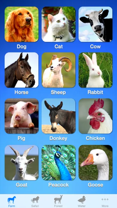 ZOOLA Animals Screenshots