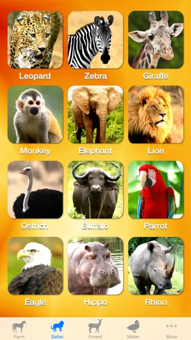 ZOOLA Animals Screenshots