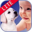 Zoola Animals - Lite Zoola Animals - Lite
