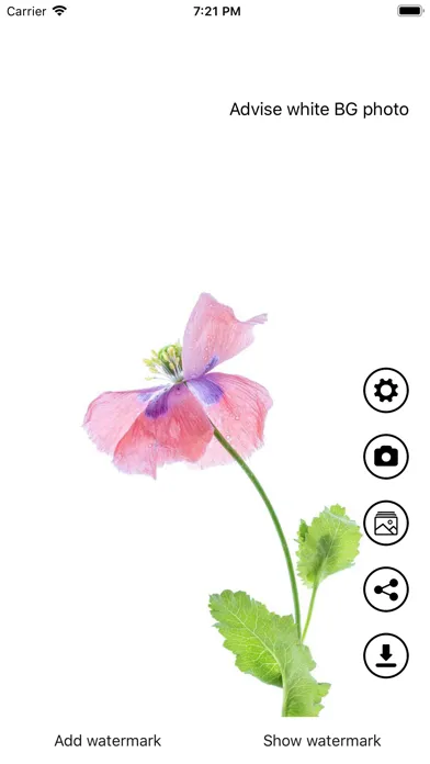 Invisible Watermark Screenshots