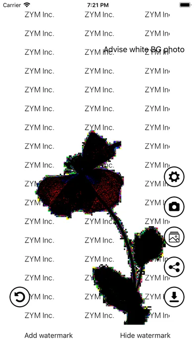 Invisible Watermark Screenshots